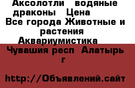 Аксолотли / водяные драконы › Цена ­ 500 - Все города Животные и растения » Аквариумистика   . Чувашия респ.,Алатырь г.